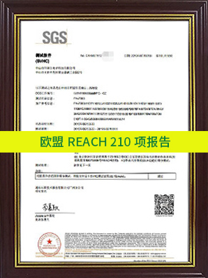 歐盟REACH-210項(xiàng)報(bào)告